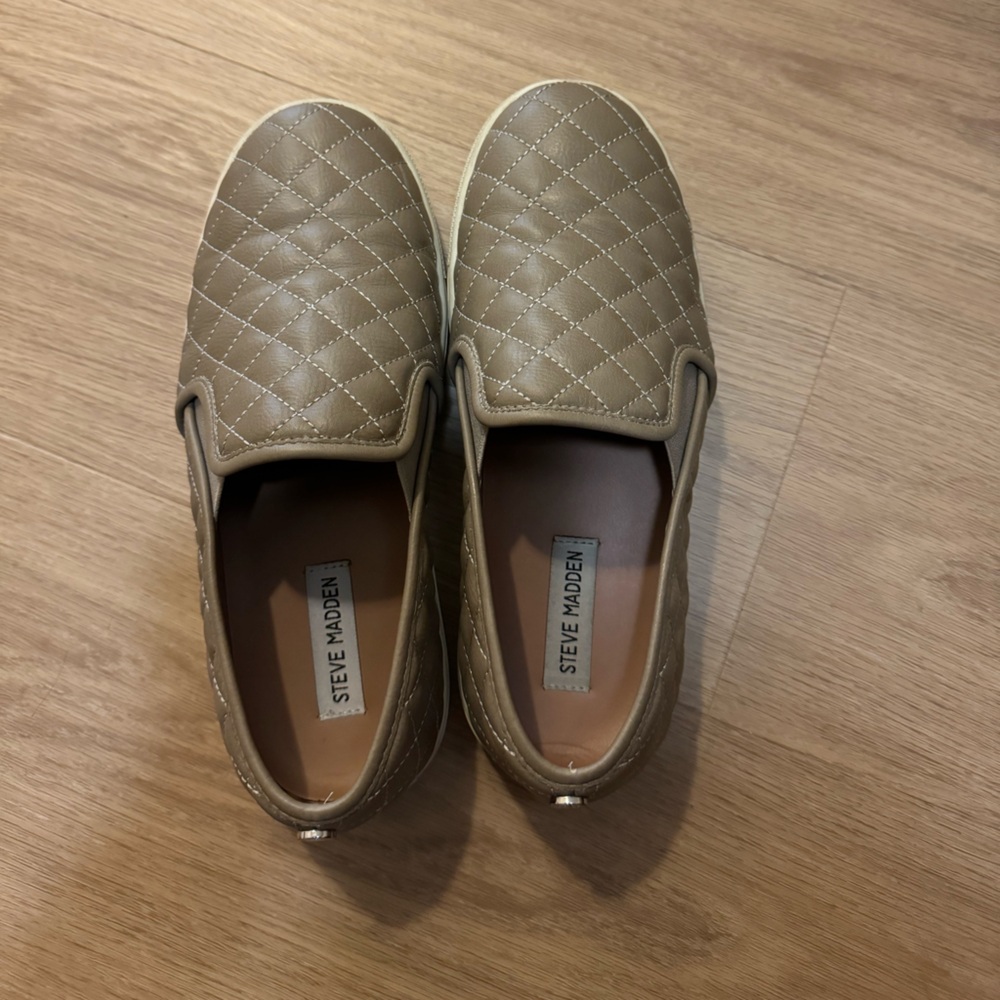 STEVE MADDEN Ecentrcq Sneakers
